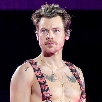 传记 Harry Styles