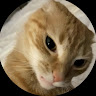User_11006