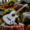 Швецов Арсений Анатольевич