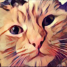 User_2268