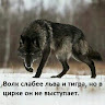 User_3845