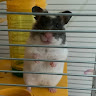 User_4168