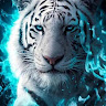 User_6064