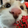 User_6988