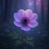 User_7578