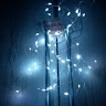User_7861
