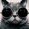 User_8829