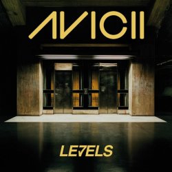 Cover Avicii - Levels