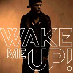 Cover Avicii feat. Aloe Blacc - Wake Me Up