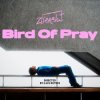 封面 Ziferblat - Bird of Pray Ziferblat - Bird of Pray