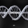 封面 SHADU - CONTIGO SHADU - CONTIGO
