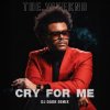 封面 The Weeknd - Cry For Me (Dj Dark Remix) The Weeknd - Cry For Me (Dj Dark Remix)