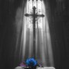 Cover Ava Max - Lost Your Faith (SONIKKU Remix) Ava Max - Lost Your Faith (SONIKKU Remix)