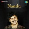 Nandu - Forever In Our Favor