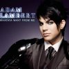 封面 Adam Lambert - Whataya Want From Me Adam Lambert - Whataya Want From Me