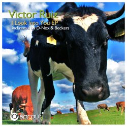 Обкладинка Victor Ruiz - I Look Into You