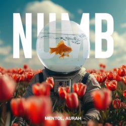 Cover Linkin Park - Numb (Mentol Remix) Aurah Cover