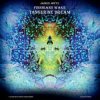 Tangerine Dream - Tear Down The Grey Skies