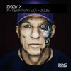 Ziggy X - Connexion