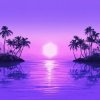 封面 Purple Disco Machine - Paradise Purple Disco Machine - Paradise