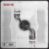 封面 Sullivan King & Emorfik - Fury Sullivan King & Emorfik - Fury