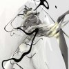 封面 Autechre - Characi Autechre - Characi