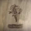 封面 Ed Sheeran - Bloodstream Ed Sheeran - Bloodstream