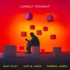 封面 Sam Feldt - Lonely Tonight (feat. Justin Jesso & Parson James) Sam Feldt - Lonely Tonight (feat. Justin Jesso & Parson James)