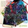封面 Oval - Savvy Aeropuerto Oval - Savvy Aeropuerto