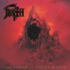 封面 Death - Painkiller (Judas Priest cover) Death - Painkiller (Judas Priest cover)