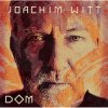 封面 Joachim Witt - Steif Joachim Witt - Steif