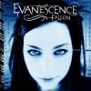 封面 Evanescence - Everybody's Fool Evanescence - Everybody's Fool