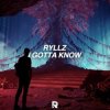 Обкладинка Ryllz - I Gotta Know Ryllz - I Gotta Know