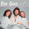 Cover Bee Gees - Suddenly Bee Gees - Suddenly