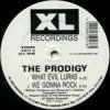 Обкладинка The Prodigy - Minefields (Monkey Mafia Mix) The Prodigy - Minefields (Monkey Mafia Mix)