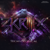 Skrillex - Chicken Soup