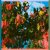 Cover Matoma - Heaven In My Hands