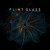 Cover Flint Glass - The Blackness From The Stars