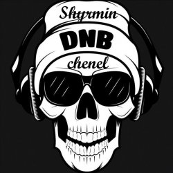 Cover Drumsound & Bassline Smith - Pump It Up