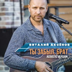Обкладинка Виталий Аксенов - Ты забыл брат