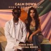 Обкладинка Rema & Selena Gomez - Calm Down Rema & Selena Gomez - Calm Down