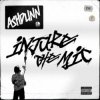 Обкладинка Ashdunn - Injure The Mic Ashdunn - Injure The Mic