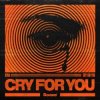 Ilyaa - Cry for You