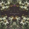 封面 Lost World - Stargazer Lost World - Stargazer