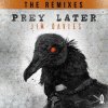 封面 Jim Davies - Prey Later (Dex Remix) Jim Davies - Prey Later (Dex Remix)