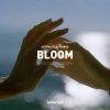 封面 Astrality & FLORES - Bloom Astrality & FLORES - Bloom