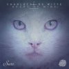 Cover Charlotte De Witte - This (Lewis Fautzi remix) Charlotte De Witte - This (Lewis Fautzi remix)