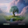 封面 Quasar-89 - Fragile Calm Quasar-89 - Fragile Calm