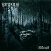 封面 Burzum - Frijôs einsames Trauern Burzum - Frijôs einsames Trauern