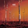 封面 Muse - New Born (XX Anniversary RemiXX) Muse - New Born (XX Anniversary RemiXX)